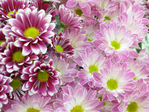428923 (a): :1600x1200